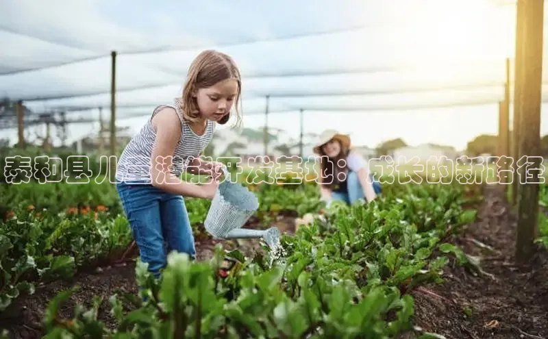 壹号大舞台下载链接